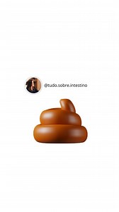 O referencial de normalidade são fezes de cor marrom, produzidas diariamente ou a cada dois dias, com uma a três sessões no mesmo dia, de aspecto uniforme, firme e com formato cilíndrico e odor ameno. Agora quero te fazer um convite! Baixando o guia melhore o seu intestino você vai descobrir como melhorar sintomas gastrointestinais como inchaço, gases e constipação enquanto aumenta a sua saúde e energia. Este conteúdo abrangente o guiará na melhoria da saúde intestinal e na obtenção de maior equ