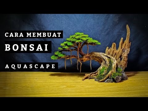 Step by step CARA MEMBUAT BONSAI AQUASCAPE model doyong | untuk tank ukuran 40 cm
