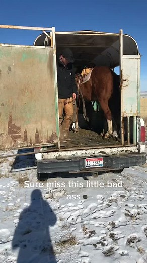 #ranching #cowboyshit #cowboying #ranchlife #horse #fyp