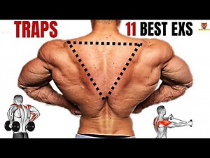 11 BEST TRAPS WORKOUT AT GYM / les meilleurs exercices Musculation trapèzes