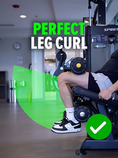 Essential Tips for Perfecting Seated Leg Curl Technique