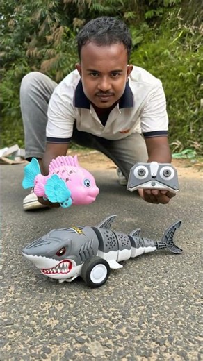 RC Remote Control 2 Ta Small Fish With Shark Unboxing Desi