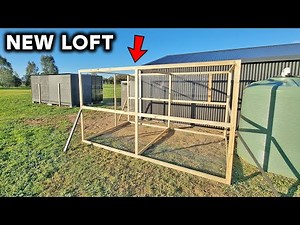 BUILDING A NEW PIGEON LOFT