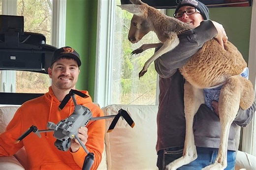 Chesney the kangaroo scales tall fence and flees petting zoo for three days on the lam