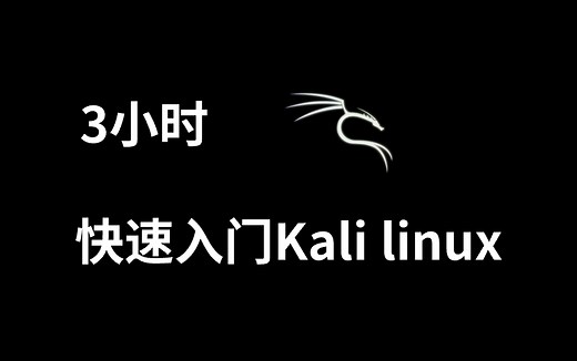 【B站最全最易学】Kali linux教程！ 从零基础开始学Kali Linux（新手入门实用版2024） kali linux下载/安装/使用教程/渗透