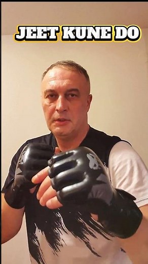 JKD PUNCH #JeetKuneDo #BruceLee #MartialArts #wing chun #kungfu