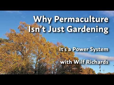 Dive into Permaculture Principles with Wilf Richards