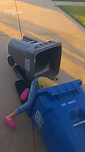 Shawnda stepped outside to gather the empty trash cans and accidentally fell into the recycling bin. Despite the mishap, she had a good attitude about it and found the situation too funny not to share. | Ring