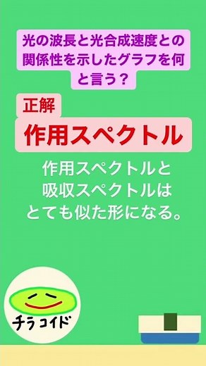 光の波長と光合成速度との関係性を示したグラフを何と言う？ #shorts #大学受験 #大学 #受験 #生物