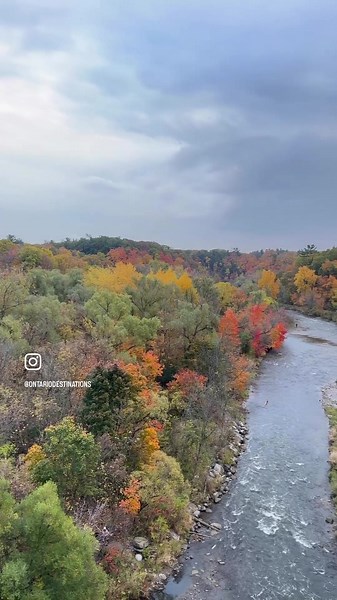 Fall Colors at Riverwood🍂 The Riverwood Conservancy Mississauga, ON. #riverwood #theriverwoodconservancy #mississauga #creditriver #ontario #canada #hiking #exploring #adventure #travel #tourism #destinations #fall #fallcolors