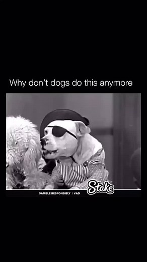 1M views · 14K reactions | The clip is from the “Dogville Comedies,” short films produced by Zion Myers and Jules White between 1929 and 1931. These films featured dogs in human costumes, humorously mimicking societal behaviors like bar scenes. Myers and White, later known for “The Three Stooges,” often parodied prohibition-era themes, with dogs acting out human-like activities such as drinking or gambling in a slapstick style. | Historyinmemes | Facebook