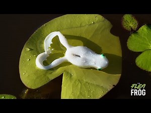 NEW RELEASE : The Flexi Frog || Soft Surface Lure || Chasebaits