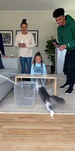 Cat vs Invisible Maze—Ultimate Treat Race Challenge! 🐱🏁