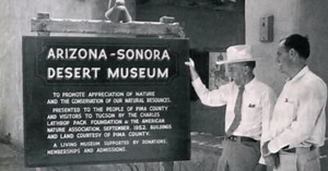 Desert Museum is Tucson's top attraction and Absolutely Arizona