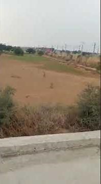 First trial run of double stack container train operation in Western Dedicated Freight Corridor.