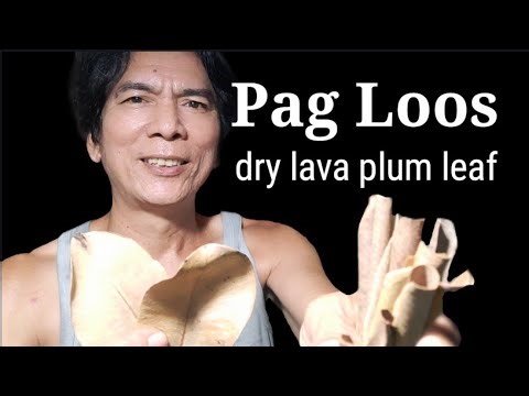 My own idea to roll the dry lava plum lea