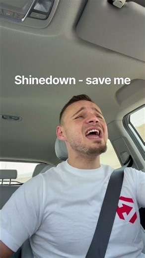 Shinedown - save me