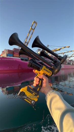 Dewalt Train Horn That Actually Works