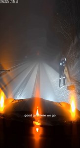 1.6M views · 6.6K reactions | Driver Stops in Blizzard to Check on...