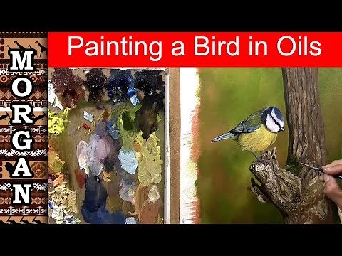 painting a bird in oils : Wildlife Art : Jason Morgan