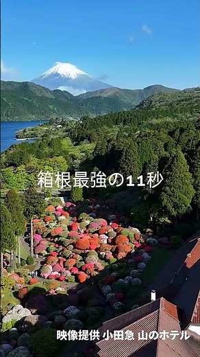 【箱根最強の11秒】つつじ・しゃくなげフェア2026 | 映像提供 小田急 山のホテル | 2026.05.02 #絶景空撮
