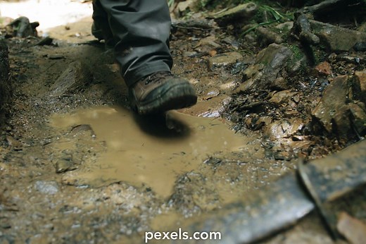 Mud Videos, Download The BEST Free 4k Stock Video Footage & Mud HD Video Clips
