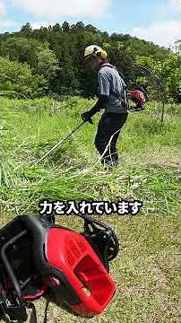 Zenoah Backpack Battery Brushcutter BCi260BK-PRO