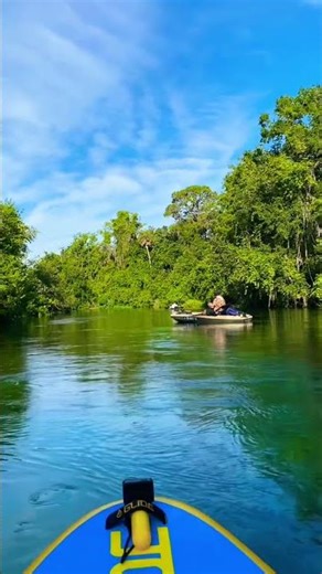 Weeki Wachee Springs State Park. #kayakingfun