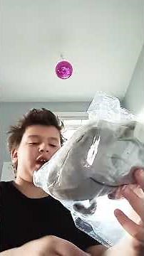 BFDI rocky plush review