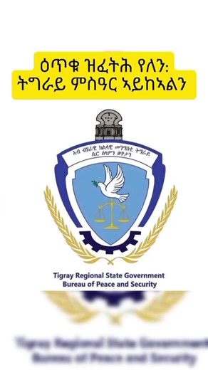 ሰራዊት ትግራይ ዕጥቁ ኣይፈትሕን TDF #musetoday #musenews #tdf #tigray_ትግራይ #tigray