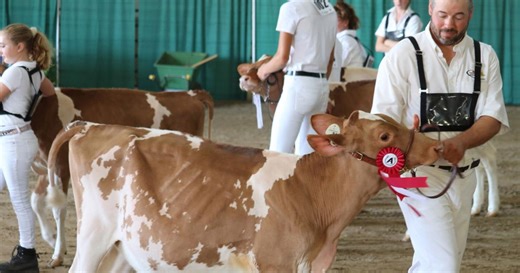 Fall fairs heating up across Ontario this weekend. Your guide to what’s happening near you