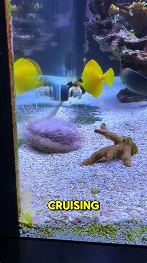 See Ya NEVER!