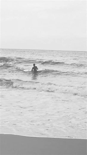 wyatt surf