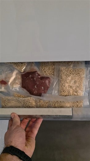 Fishing with liver and maggots, always have a supply at home! #liver #maggots #bait