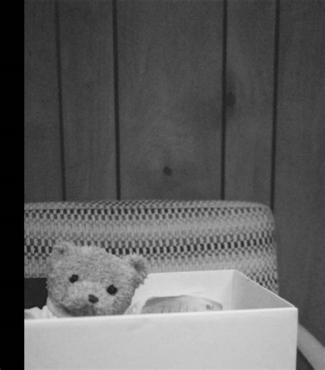 Celebrating 2 Years of Eternal Sunshine Album