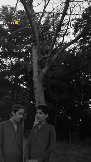 @༼🔱𝙍𝙖ج𝘼⚓𝙈@𝙓🔱༽ @Adeel Mirza 324🦅 @Shahzaibkhanbawa🚩🚩🚩 @itx queen 👑 @🇦🇴 L A L A 1 2 4 🇦🇴 BOXE @Abdullah khan 786💯 @👑𝙎𝙖𝙦𝙡𝙖𝙞𝙣🚩 @Shahbaz Asif @ADREES Khan lala 786 SAR KAR👑 @ANASبٹ