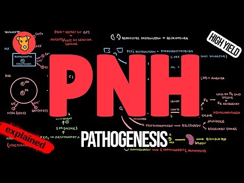 Paroxysmal Nocturnal Hemoglobinuria (PNH) EXPLAINED: Pathogenesis, Symptoms & Treatment (for USMLE)