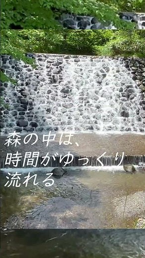 初夏の渓流と水の音｜石積み堰堤（えんてい）のある風景「水の音 リラックス」集中BGM 自然音ASMR 水辺BGM