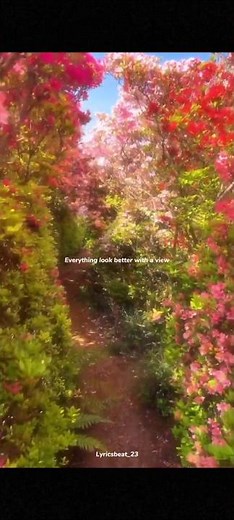 Mood - 24kGoldn ft.yagih mael | lyrics | aesthetic | whatsapp Status | slowed | audio #mood