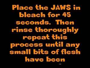 HOW TO CLEAN SHARK JAWS