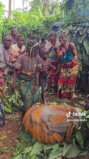 The culture of the Congo forest, Baaka people #Congo #forest #africa #ethnic