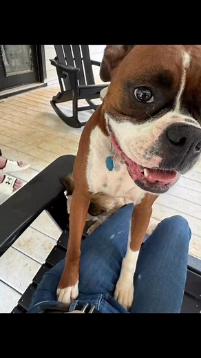 Michelle Reynolds on Reels