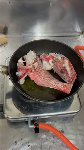 オニカサゴ を捌く！アクアパッツァ にして食す！