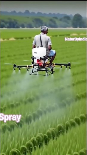 Drone Spray In Rice Field | Indian Old Man | 4K White Chemical