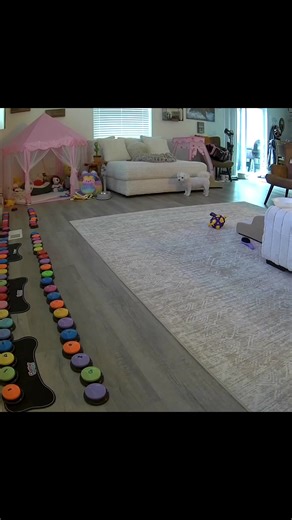 Detective Dog Solves the Case of the Missing Ball