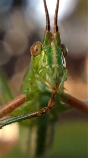 "See how this idiot looks when you zoom in."