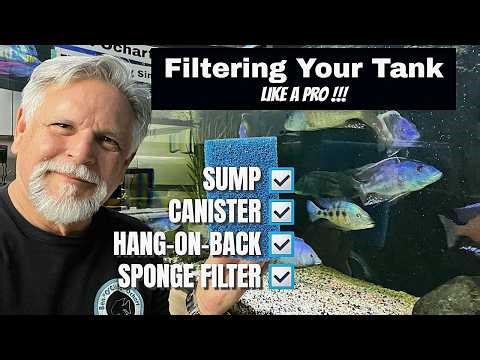 Filter Your Fish Tank Like a Pro!