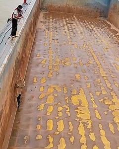 1.7M views · 9.8K reactions | Rescuing The Poor Little Puppy! 梁 | Bee Inspired | Facebook