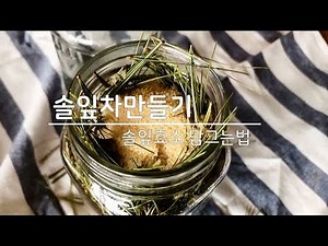 솔잎차 솔잎효소 만들기 아주 쉬워요~