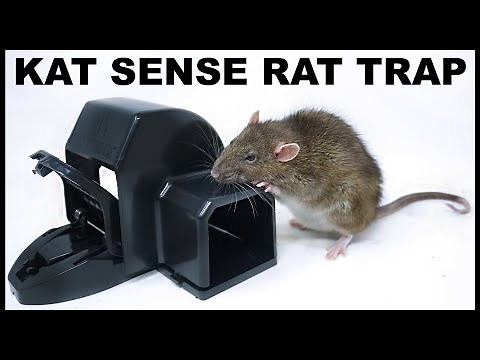 KAT SENSE covered rat trap works for mice and rats. Mousetrap Monday